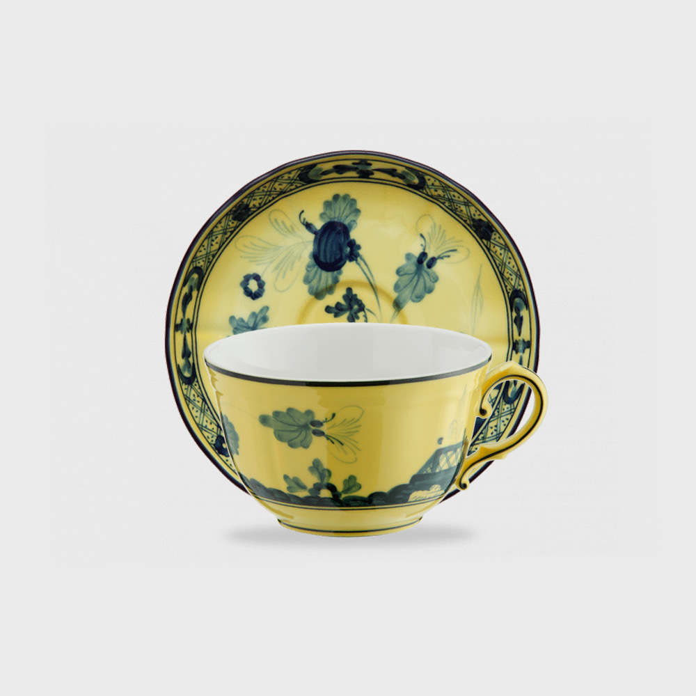 Ginori 1735 Tea Cup &amp; Saucer Set